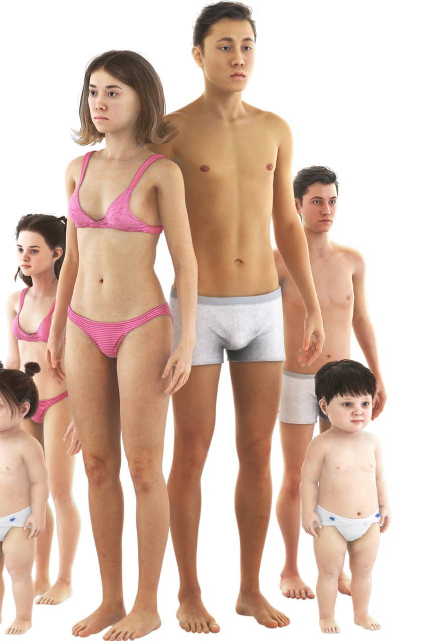 Anatomical figures across ages and body types, standing in a row
