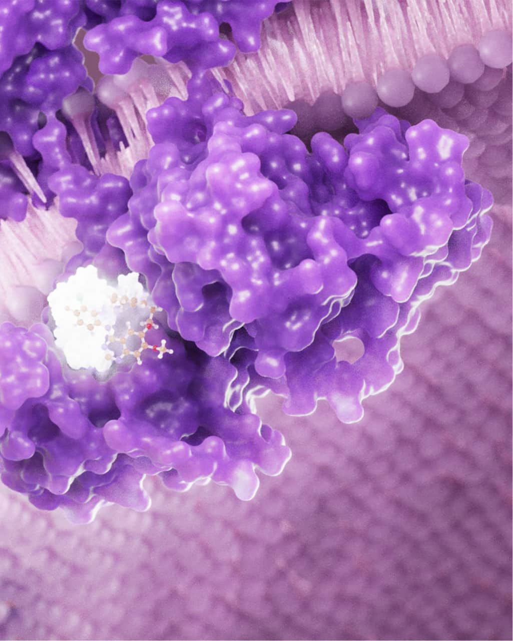Molecular interaction