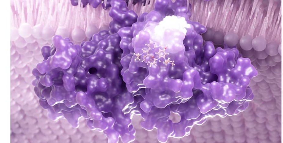 Drug molecule binding a cell-surface receptor
