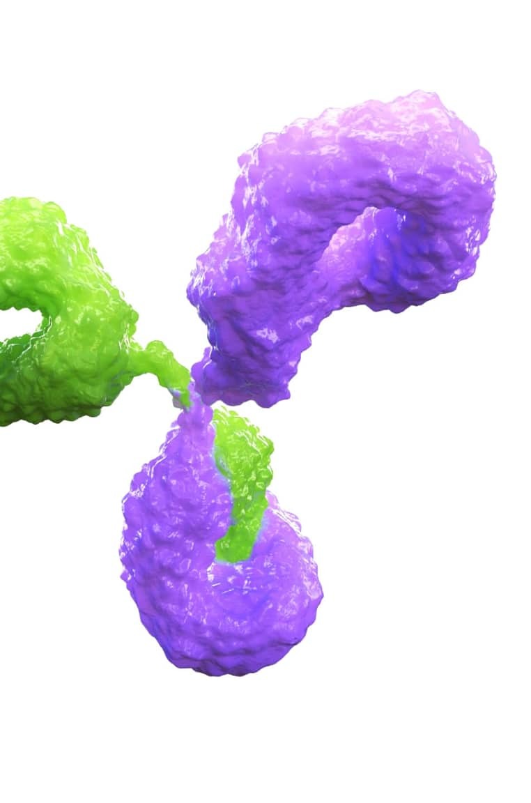 Protein structure — drug–target binding
