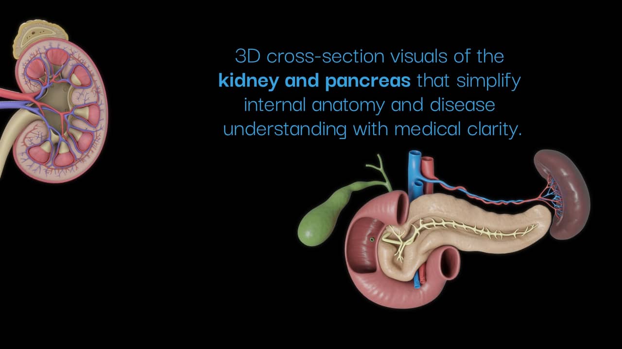 Kidney & pancreas