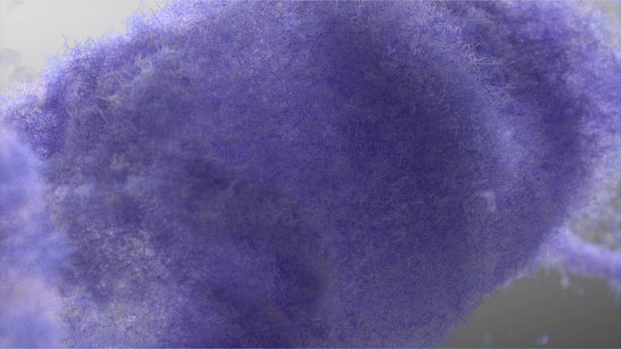 Cloth and particle simulation — ribbon — frame 06